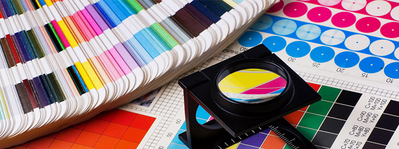 Despre Noi Experienta Digital Brain